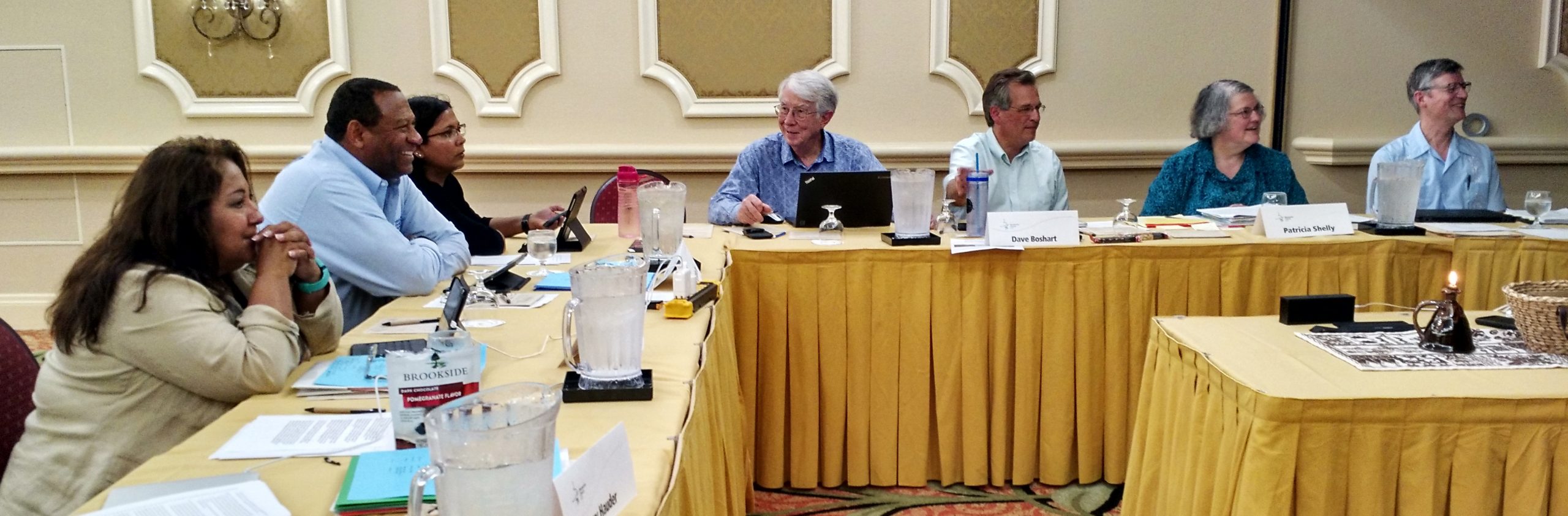 At the June 2–4 meeting of the Mennonite Church USA Executive Board in Orlando, Florida, are (l. to r.) board members Yvonne Diaz of Terlingua, Texas; Bishop Leslie Francisco III of Hampton, Virginia; Nisha Subaiya Springer of Plano, Texas; Earl Kellogg of Urbana, Illinois; David Boshart (moderator-elect) of Wellman, Iowa; Patricia Shelly (moderator) of Newton, Kansas; and staff member Ervin Stutzman (executive director) of Harrisonburg, Virginia. (Photo by Janie Beck Kreider)