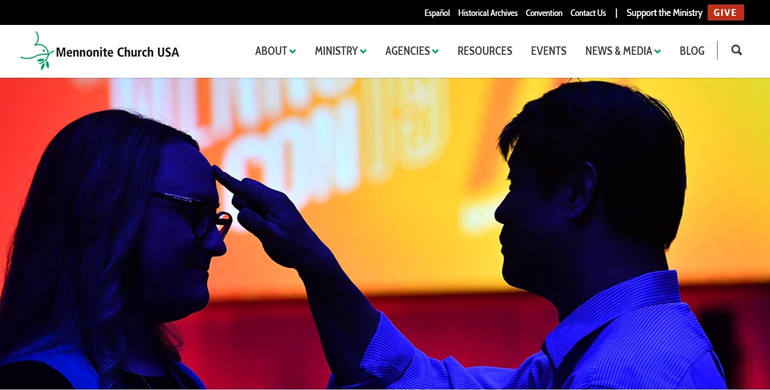web screen shot new website