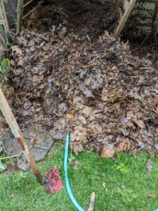 Image of compost pile covered with dead leaves.