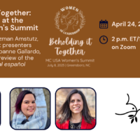 WIL summit webinar 2 graphic