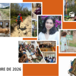 MenoTicias Septiembre de 2026